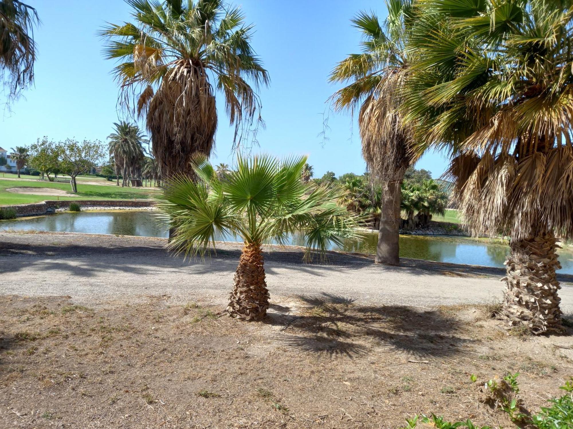 Apartamento Golf Roquetas de Mar Luaran gambar